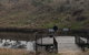 Bombala Platypus Reserve - thumb 0