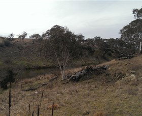 Bombala Platypus Reserve - St Kilda Accommodation 3