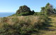Pretty Beach To Durras Mountain Walking Track - thumb 2