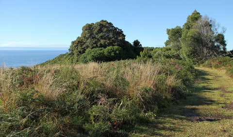 Pretty Beach To Durras Mountain Walking Track - St Kilda Accommodation 2
