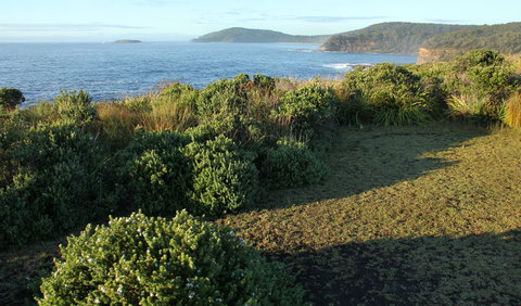 Pretty Beach To Durras Mountain Walking Track - St Kilda Accommodation 3