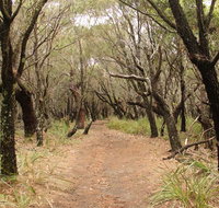 Pretty Beach to Snapper Point walking track - St Kilda Accommodation