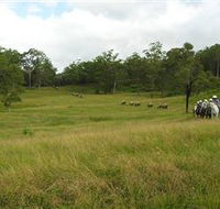 Numinbah Valley Adventure Trails - St Kilda Accommodation