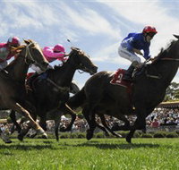 Moruya Racecourse - St Kilda Accommodation