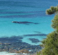 Jervis Bay Marine Park - St Kilda Accommodation