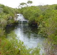 Booderee National Park Green Patch and Telegraph Creek Walking Tracks - St Kilda Accommodation