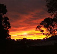 Tinonee Museum - St Kilda Accommodation