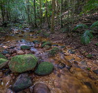 Starrs Creek picnic area - St Kilda Accommodation