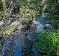 Dawson River walking track - St Kilda Accommodation