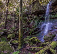 Coorabakh National Park - St Kilda Accommodation