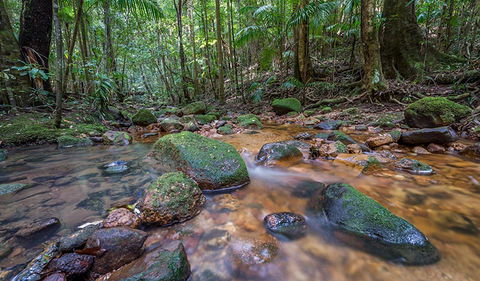 Coorabakh National Park - St Kilda Accommodation 1