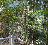 Goorgana walking track - St Kilda Accommodation
