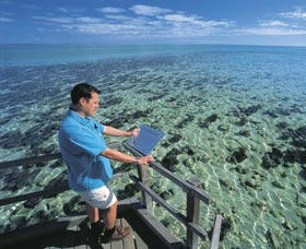 Hamelin Pool Stromatolites - St Kilda Accommodation 2