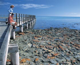 Hamelin Pool Stromatolites - St Kilda Accommodation 3