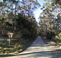 Box Cutting Rainforest Walk - St Kilda Accommodation