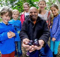 Wigay Aboriginal Culture Park - St Kilda Accommodation