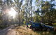 Wallingat Forest Drive - thumb 1
