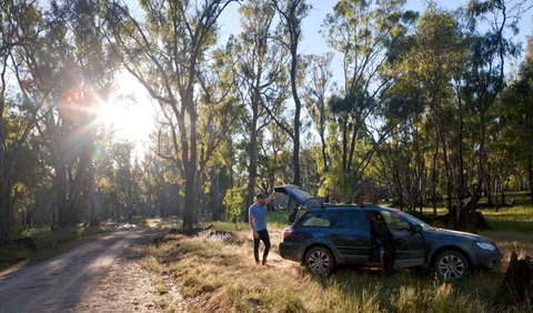 Wallingat Forest Drive - St Kilda Accommodation 1