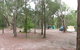 Wallingat National Park - thumb 1