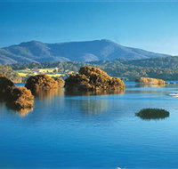 Wagonga Picnic Area - St Kilda Accommodation