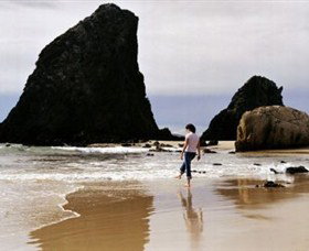 Glasshouse Rocks And Pillow Lava - St Kilda Accommodation 1