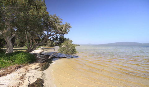 Booti Booti National Park - St Kilda Accommodation 1