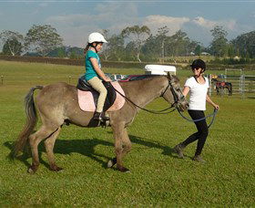 Port Macquarie Horse Riding Centre - St Kilda Accommodation 0