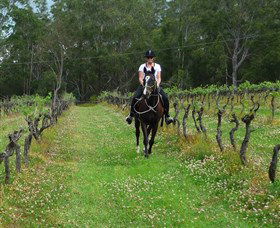 Port Macquarie Horse Riding Centre - St Kilda Accommodation 1