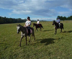 Port Macquarie Horse Riding Centre - St Kilda Accommodation 5