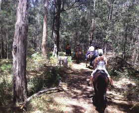 Port Macquarie Horse Riding Centre - St Kilda Accommodation 4
