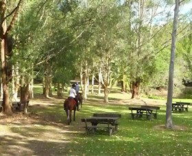 Port Macquarie Horse Riding Centre - St Kilda Accommodation 6
