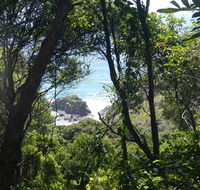 Rainforest walking track - St Kilda Accommodation