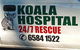Koala Hospital - thumb 8