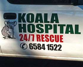 Koala Hospital - St Kilda Accommodation 8