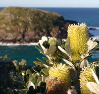Green Island walking track - St Kilda Accommodation