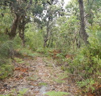 Kinchela Trig Lookout walk - St Kilda Accommodation