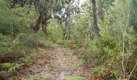 Kinchela Trig Lookout Walk - St Kilda Accommodation 0