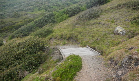 Connors Walking Track - St Kilda Accommodation 2