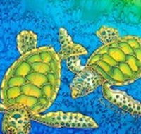 Sea Silks Gallery - St Kilda Accommodation