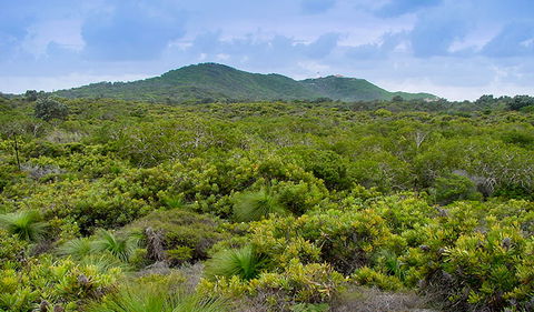 Arakwal National Park - St Kilda Accommodation 1