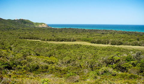 Arakwal National Park - St Kilda Accommodation 2
