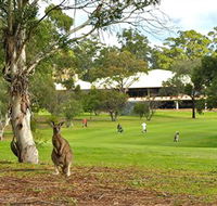 Pambula Merimbula Golf Club - St Kilda Accommodation
