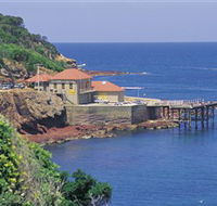 Merimbula Aquarium - St Kilda Accommodation