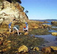 Sapphire Coast Marine Discovery Centre - St Kilda Accommodation
