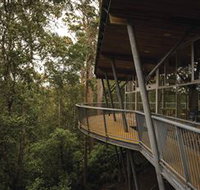 Tarkine Forest Adventures - Dismal Swamp - St Kilda Accommodation