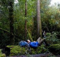 The Tarkine Drive - St Kilda Accommodation