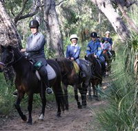 Mirravale Horse Riding School - St Kilda Accommodation