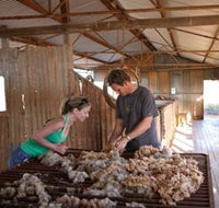 Peron Homestead - St Kilda Accommodation