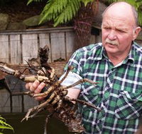 Lobster Ponds - St Kilda Accommodation