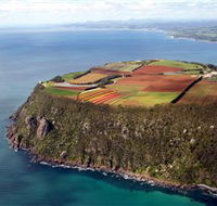 Table Cape - St Kilda Accommodation
